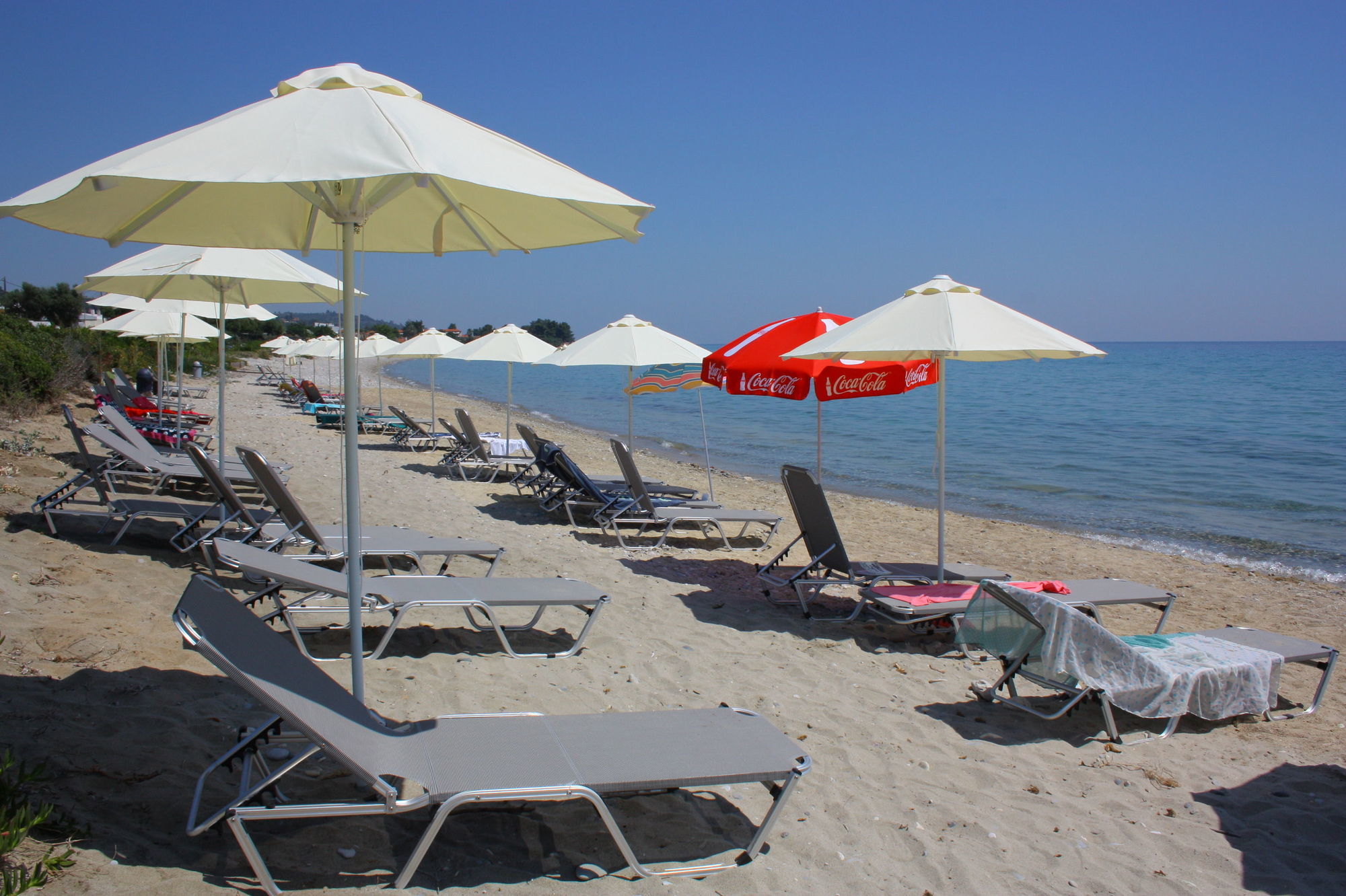 Skion Palace Beach Hotel-Bungalows & Boutique Hotel Nea Skioni Faciliteter billede